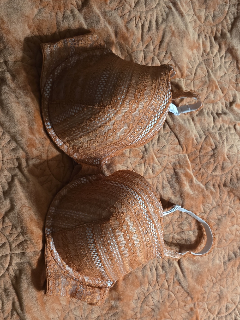 Victoria's Secret Lace Underwire Bra in Rust Orange